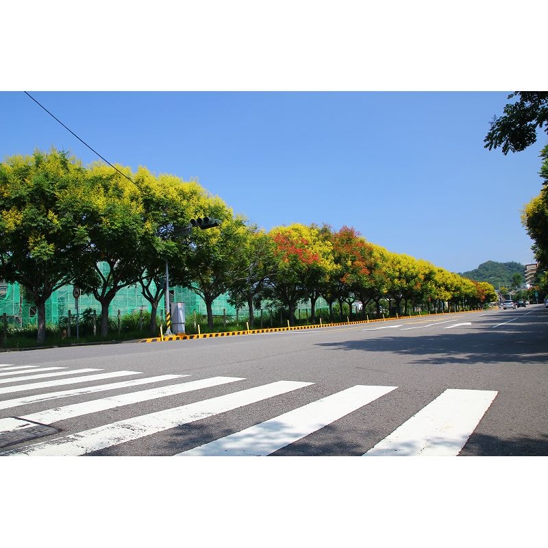 20250414-ffu9i