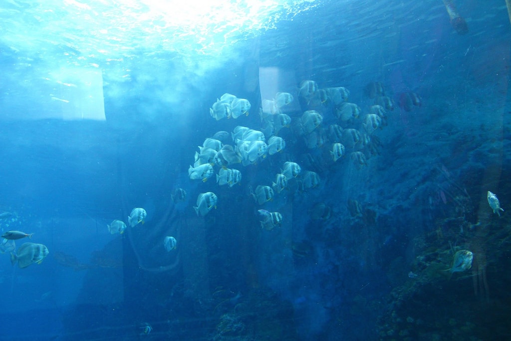 20250414-3mp4f