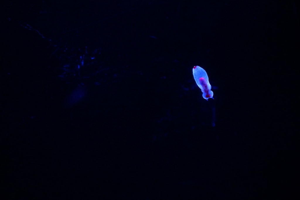 20250414-hivbu