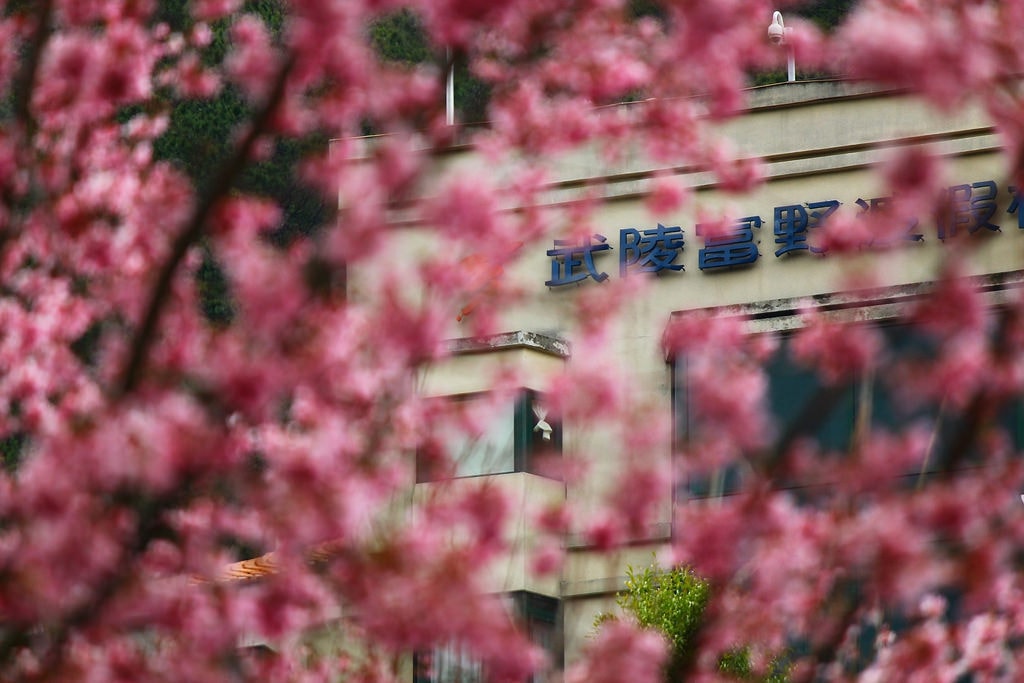 20250414-g8pfb