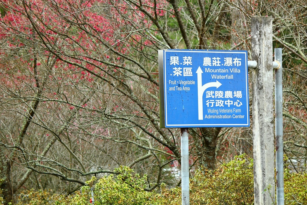 20250414-qtnwr
