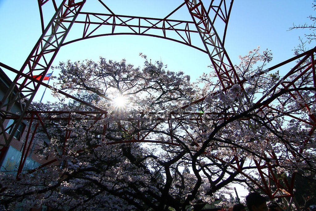 20250414-evoqw