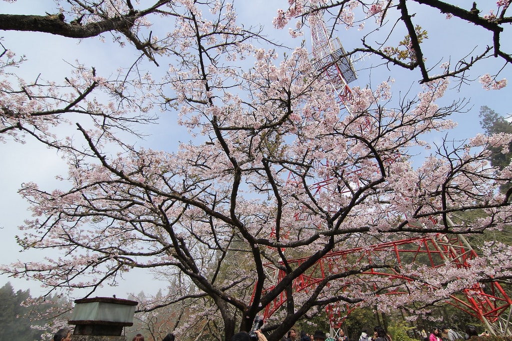 20250414-qrn6n