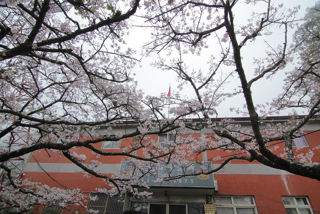 20250414-ykg1o