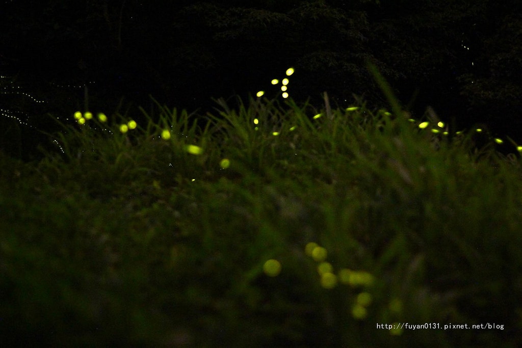 20250414-px20y