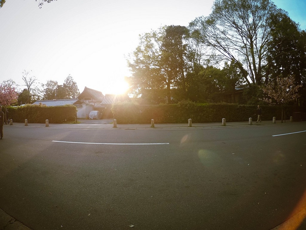 20250414-g7u4o