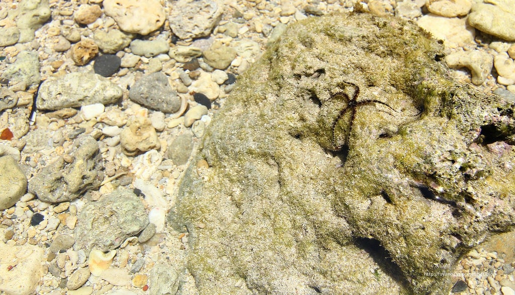 20250414-5cs62