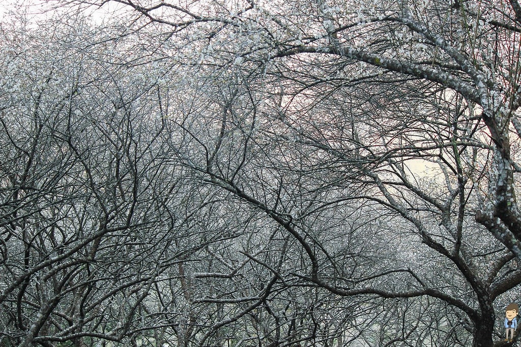 20250414-affbr