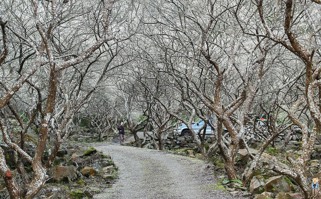 20250414-hkwy3