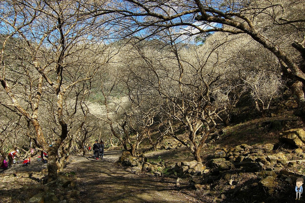 20250414-m3cm9
