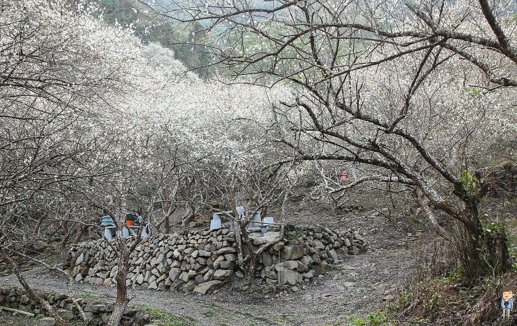20250414-tqin9