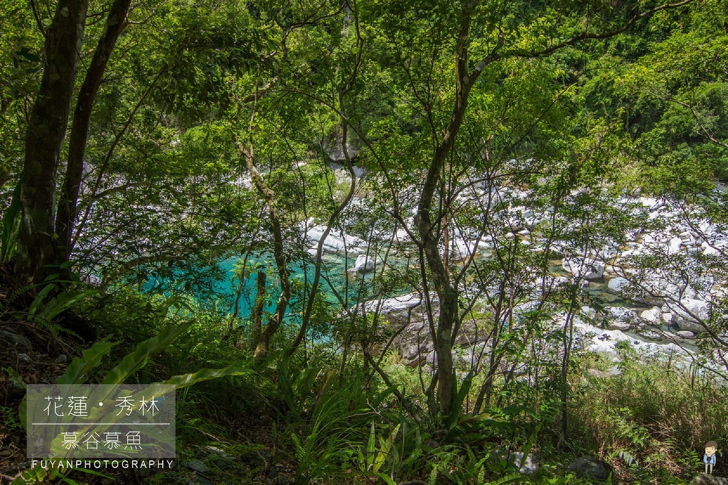 20250414-fy89e