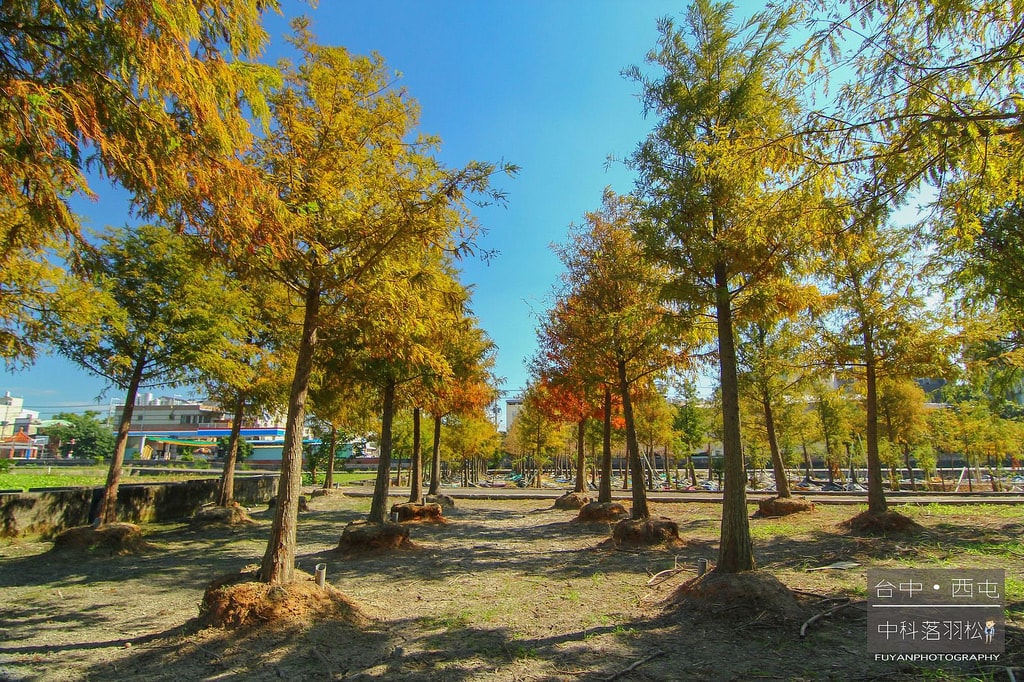 20250414-t1pl0