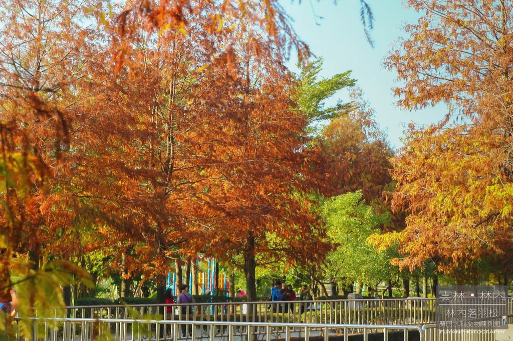 20250414-07sac