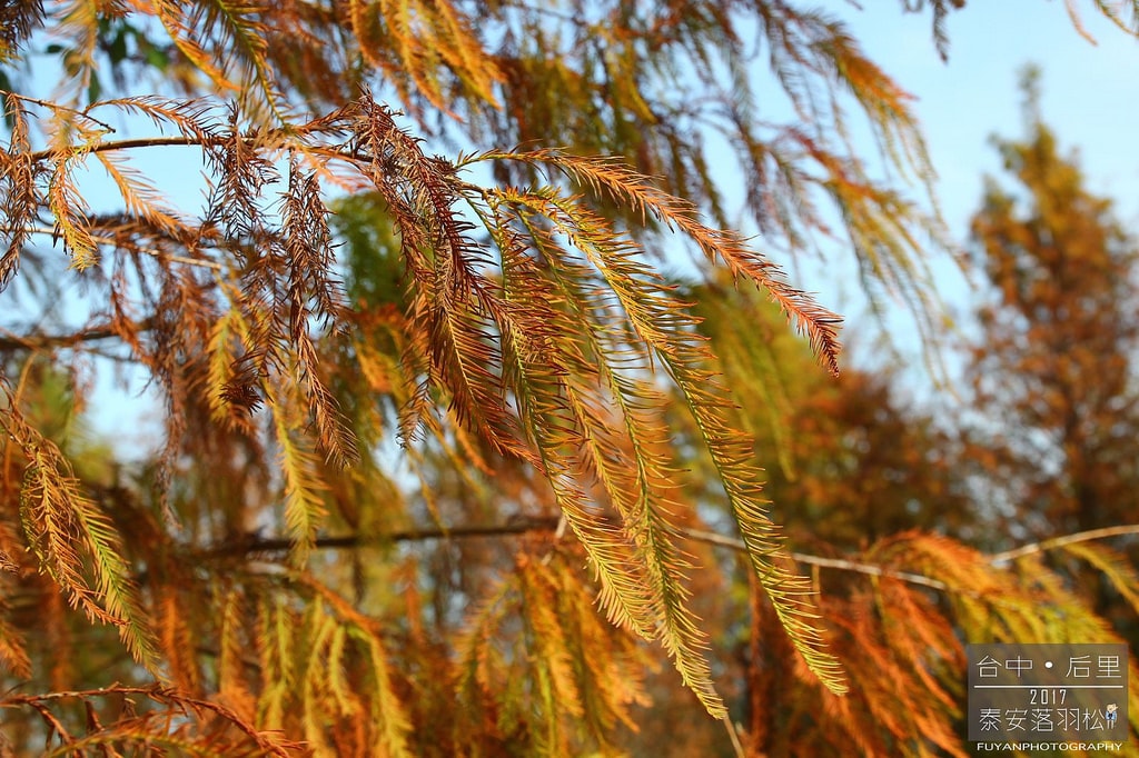 20250414-2fyby