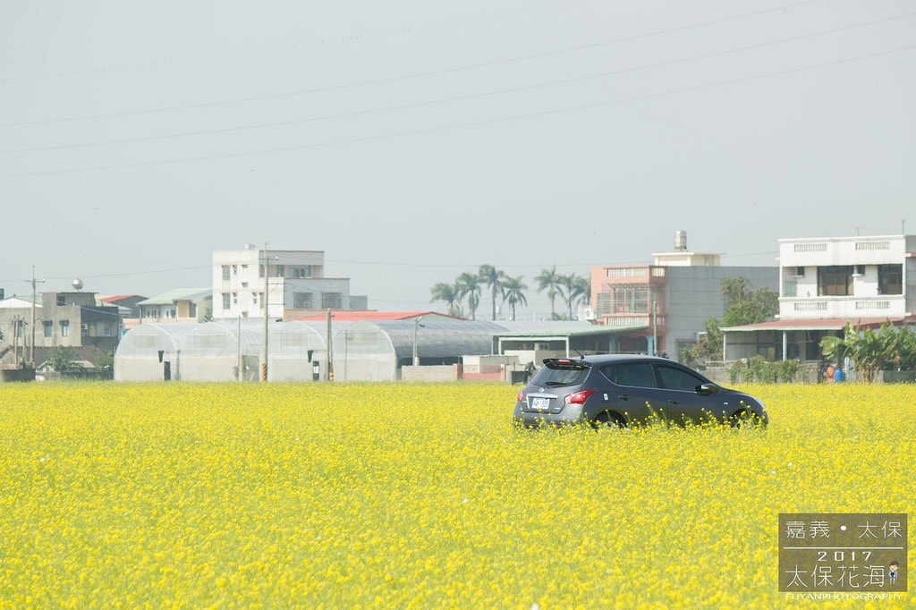 20250414-i2jdd