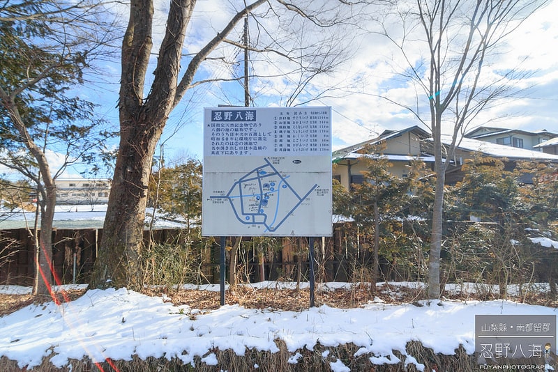 20250414-n4sw6