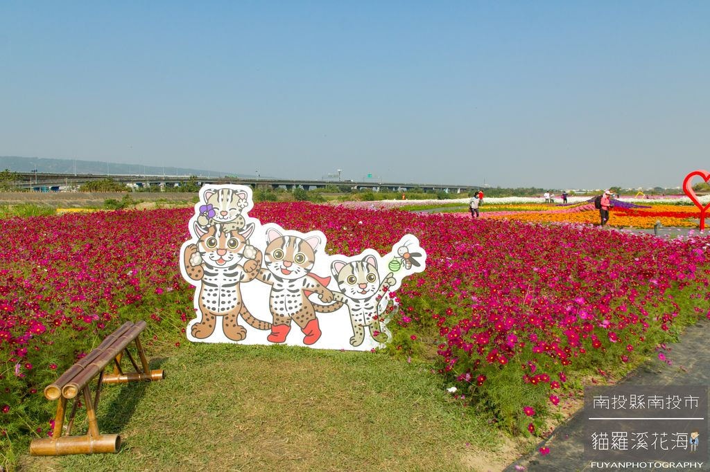 20250414-nx6it
