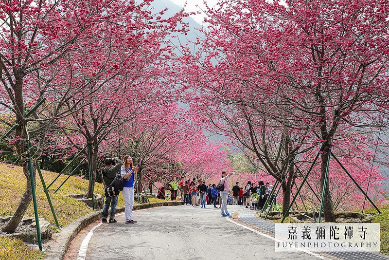 20250414-1qiu8