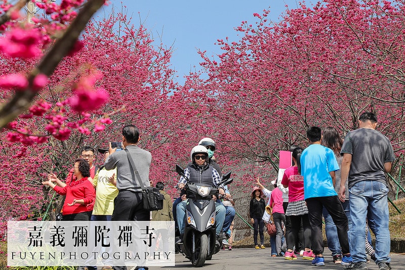 20250414-2k1ju