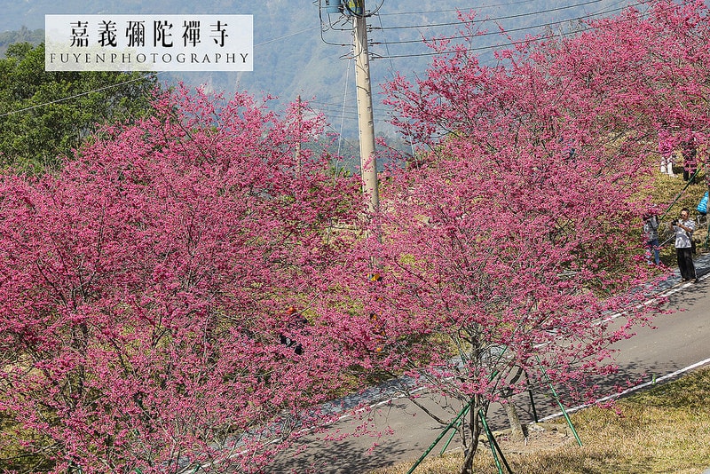 20250414-9p4wm