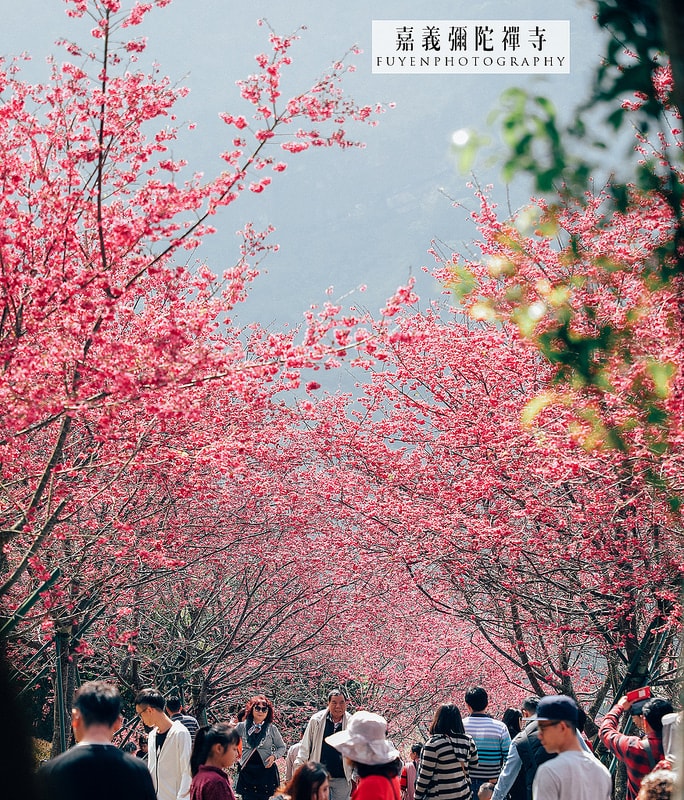 20250414-worb3