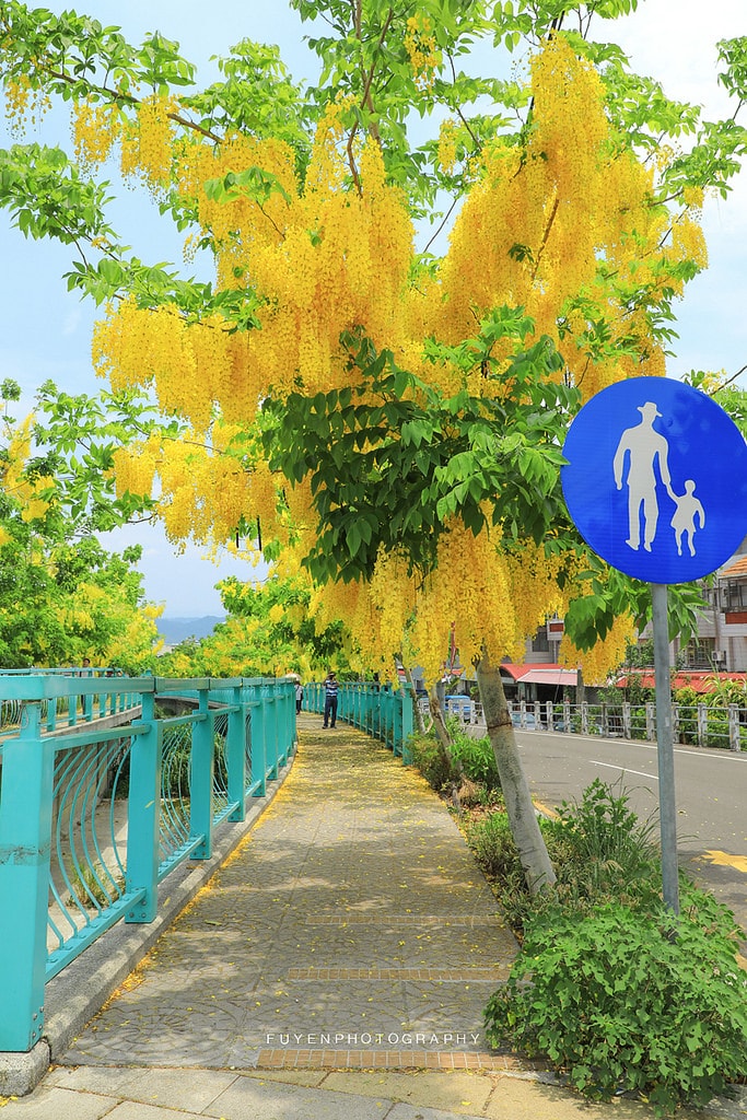 20250414-wuf4l
