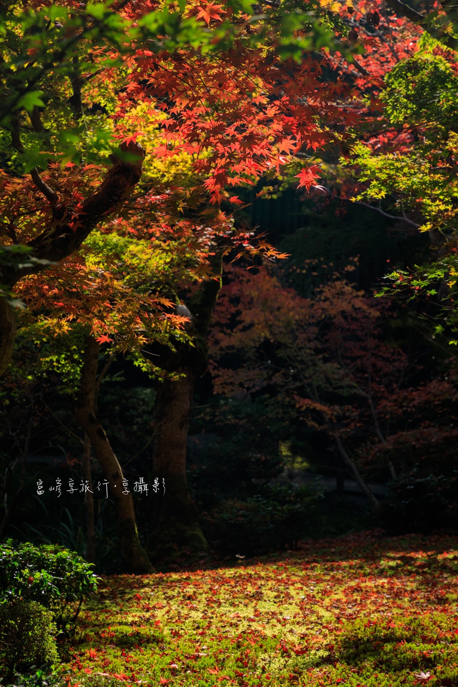 20250414-1qrsg