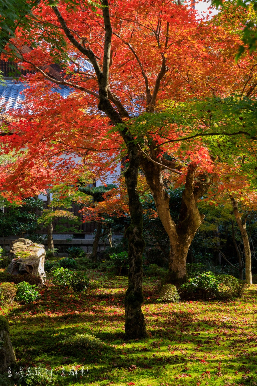 20250414-4sqzs