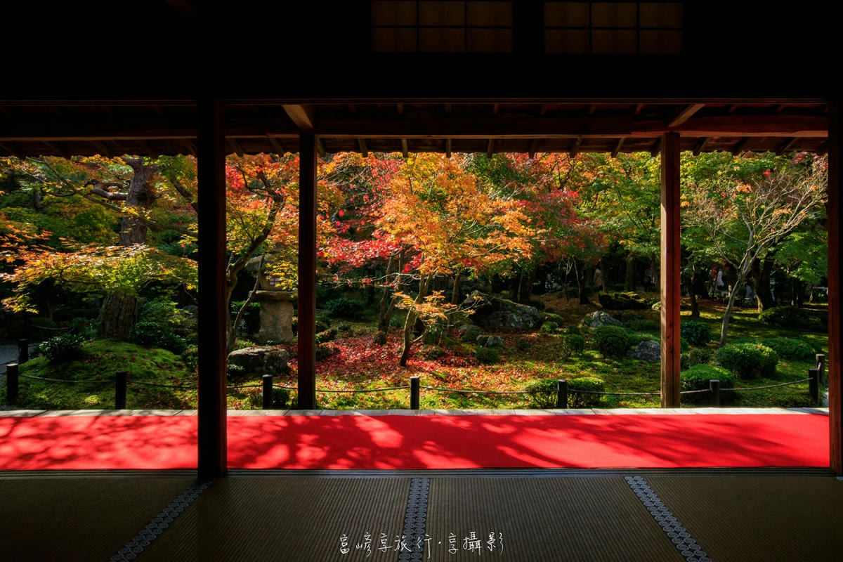 20250414-k04x5