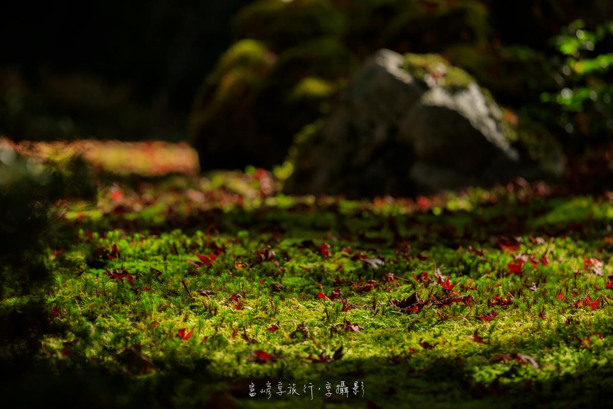 20250414-ypgrs