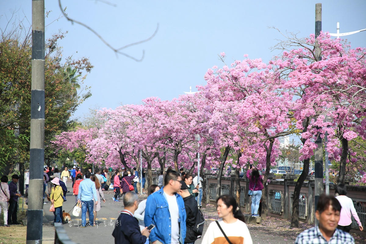 20250414-fasc3