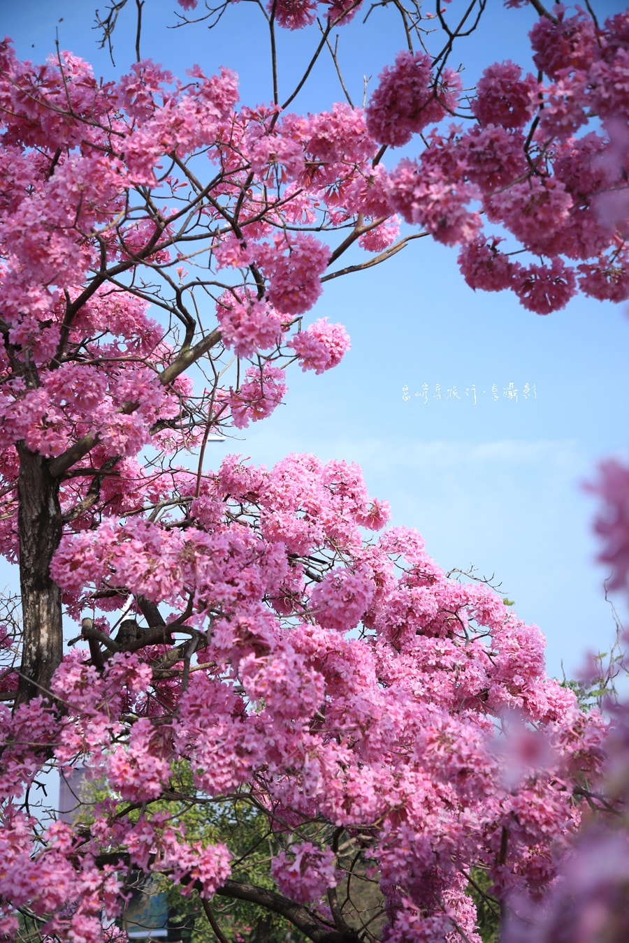 20250414-qzsqr
