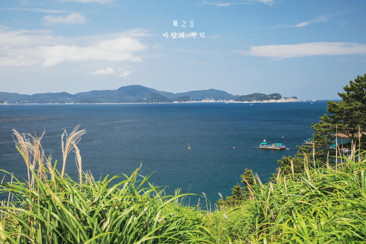 20250414-5fs8q