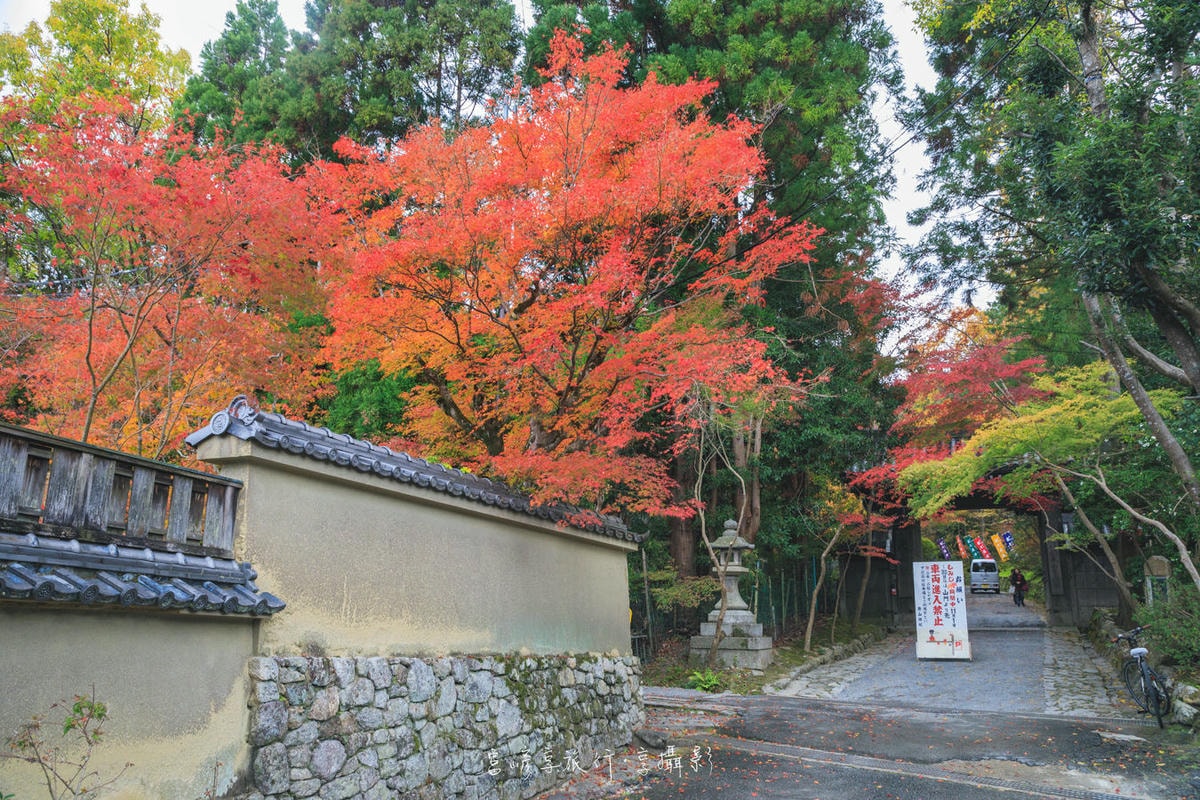 20250414-g23od