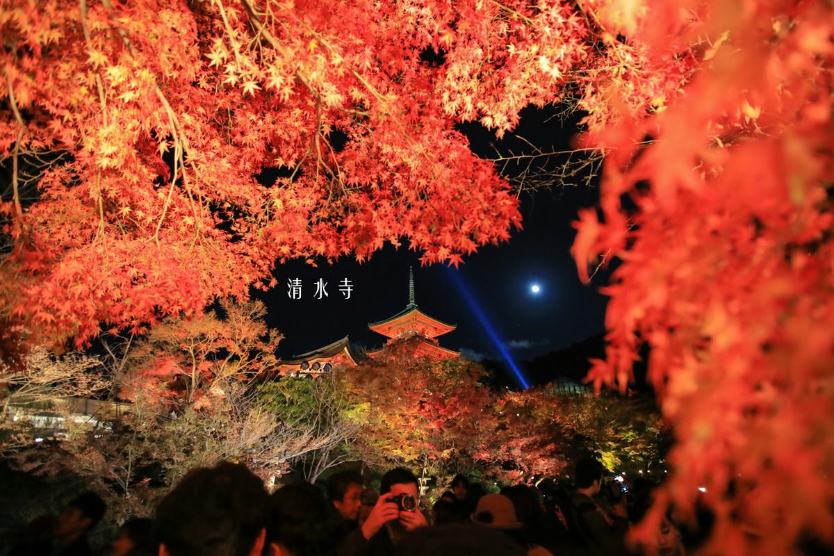 20250414-g7o20