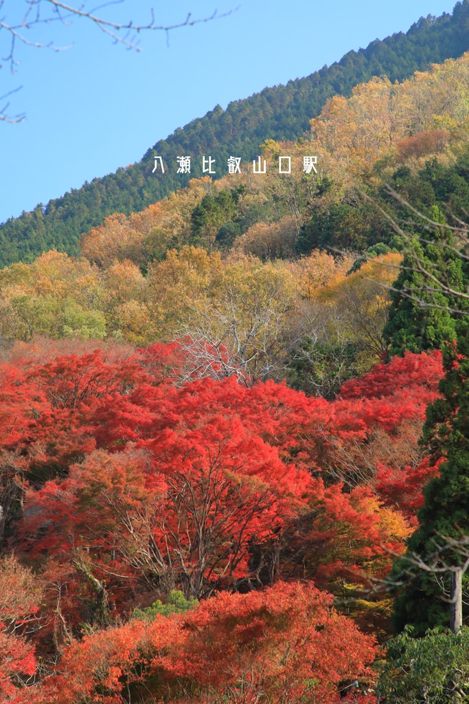 20250414-kr3xl