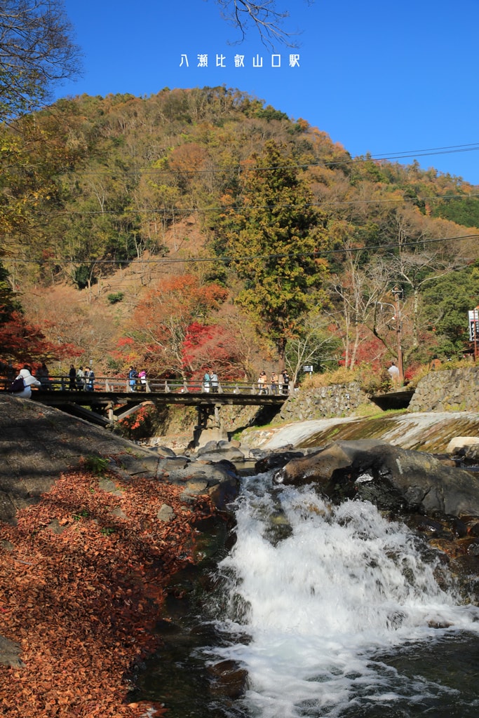 20250414-p48in
