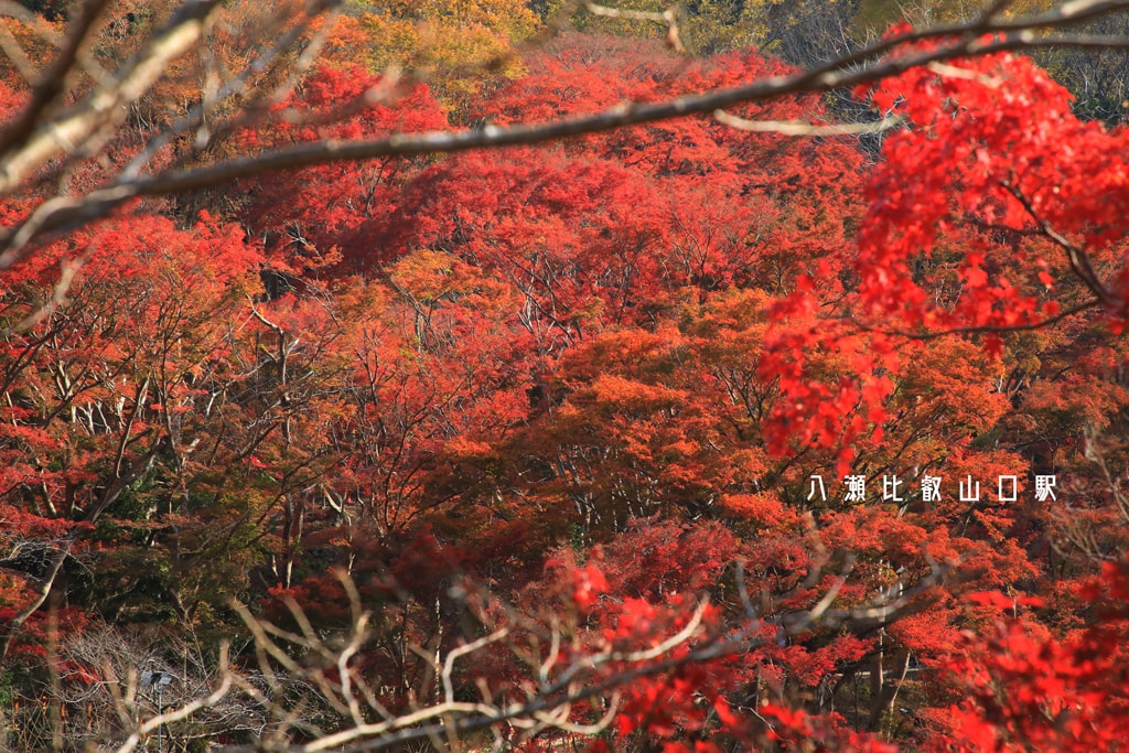 20250414-r2m3t