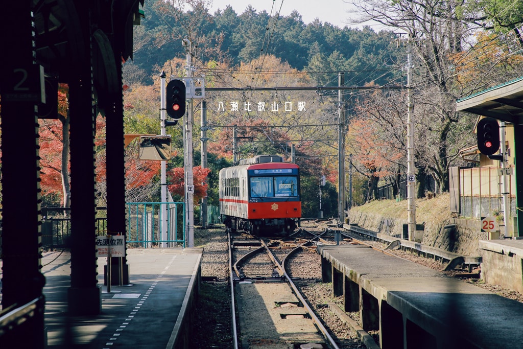 20250414-wswdt