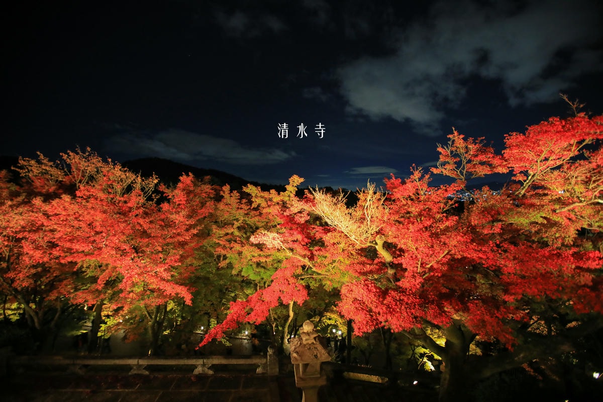 20250414-yiizg
