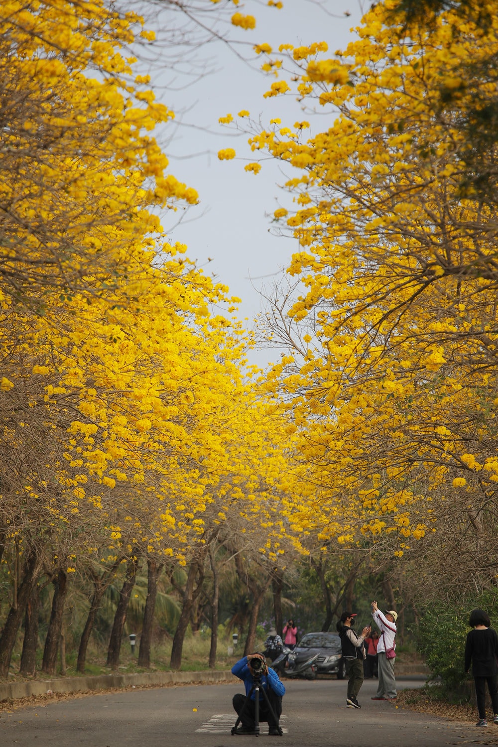 20250414-ofp7k