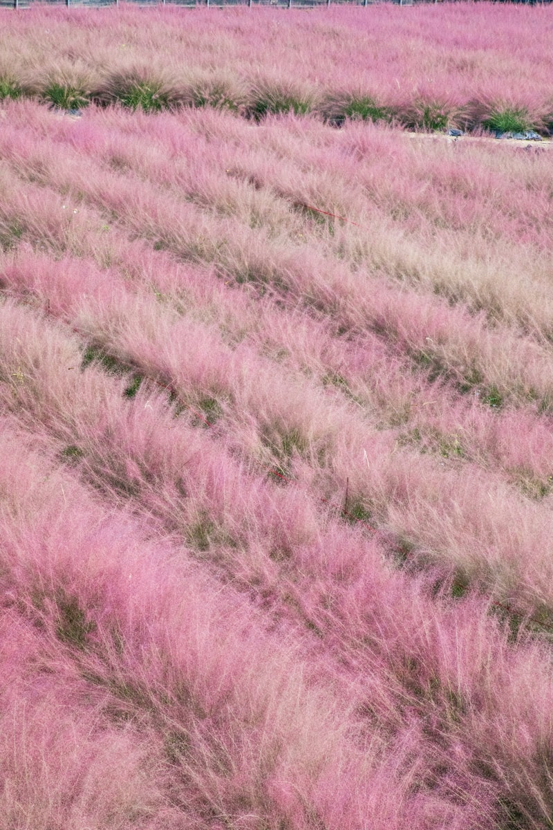 20250414-azsfg