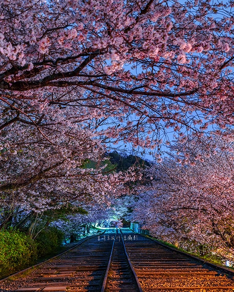 京都