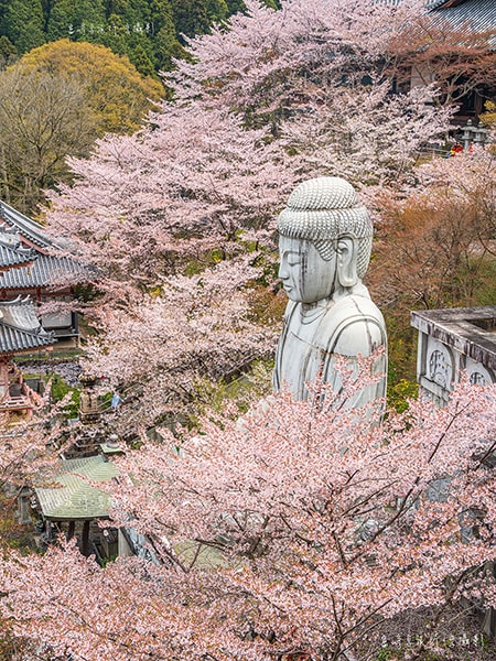 奈良