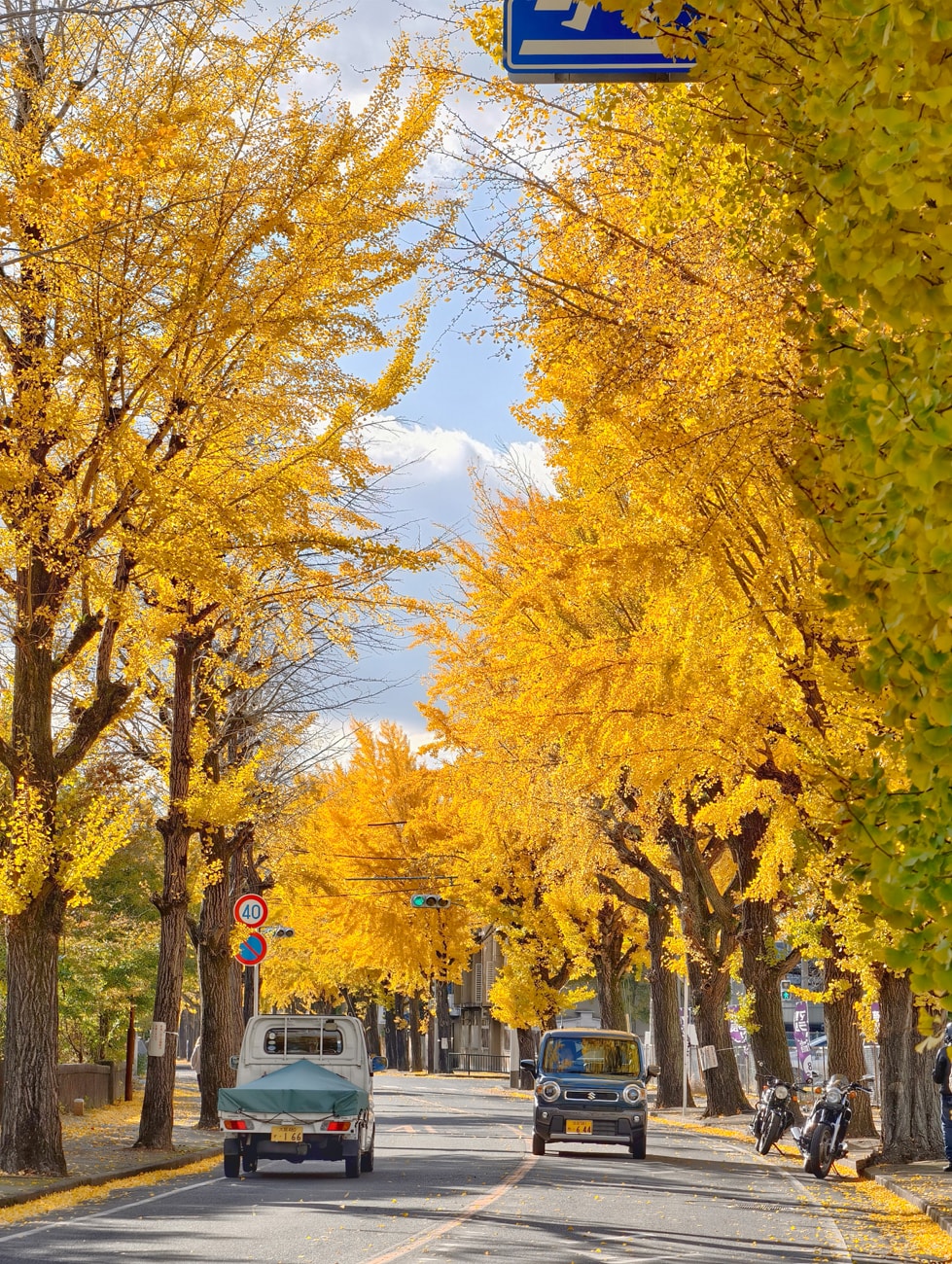 奈良縣天理市|銀杏大道|2025 活動開催 - 第2張圖